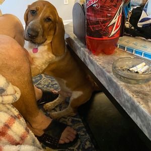 Meet your Posher, Gail